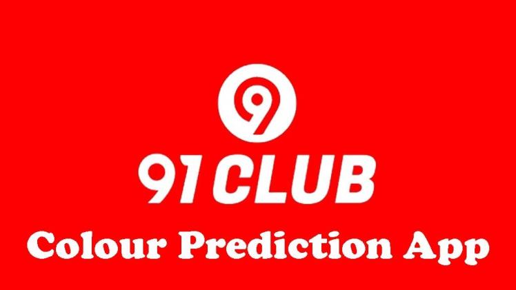 91 Club: One Platform, Endless Possibilities
