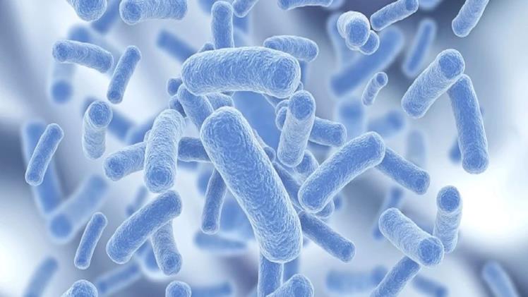 Choosing the Right Legionella Risk Assessment Companies for Compliance