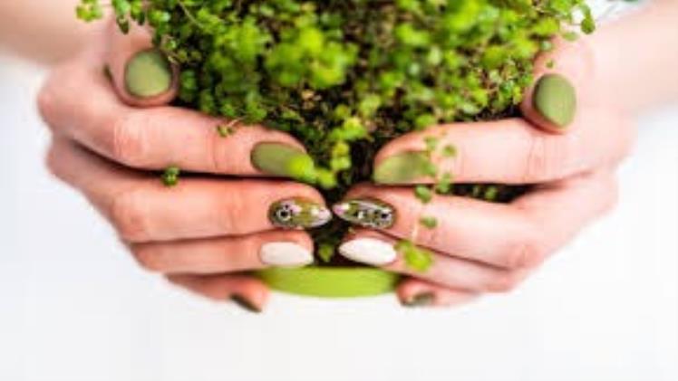 The Future of Nail Care: How Nail Salons Are Going Eco-Friendly